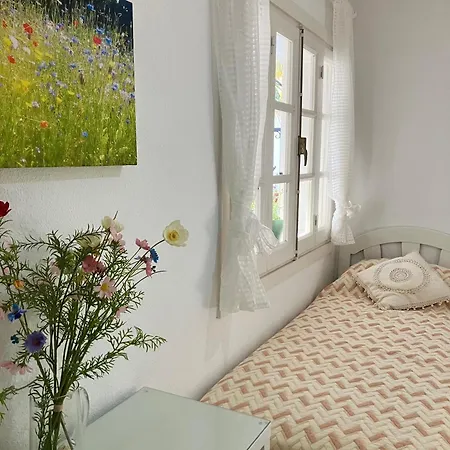 1st Floor Penthouse Sea And Mountain View 5 Min Stroll To Holiday home